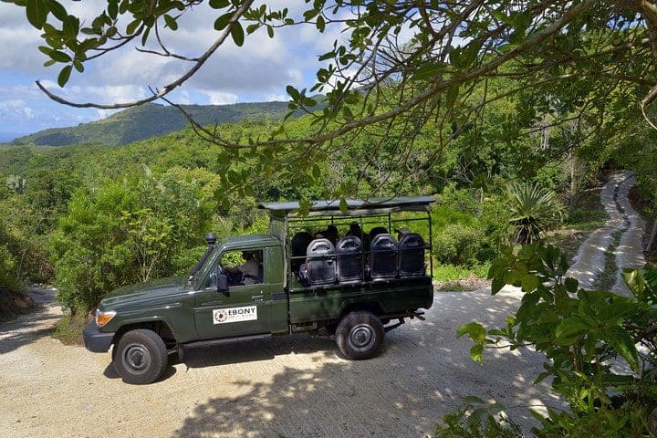 Ebony Forest Reserve Chamarel