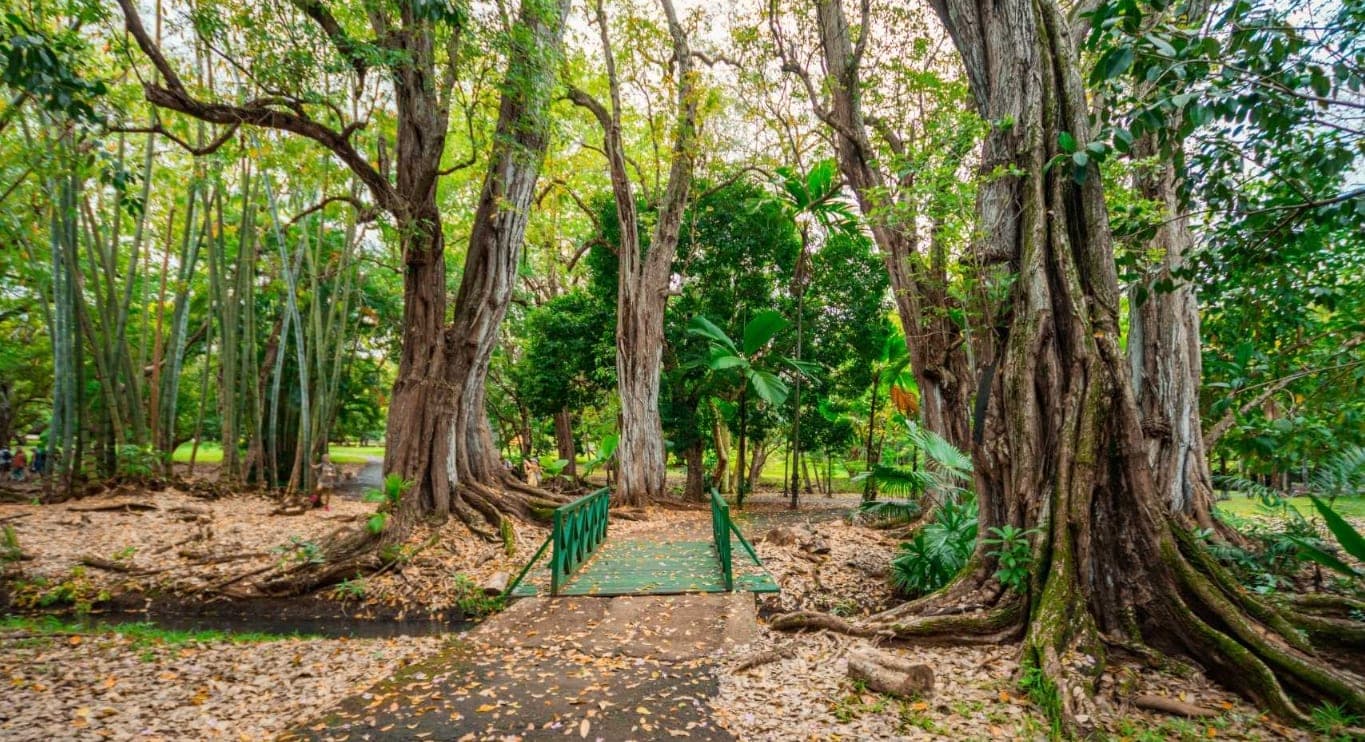 SSR Botanic Garden