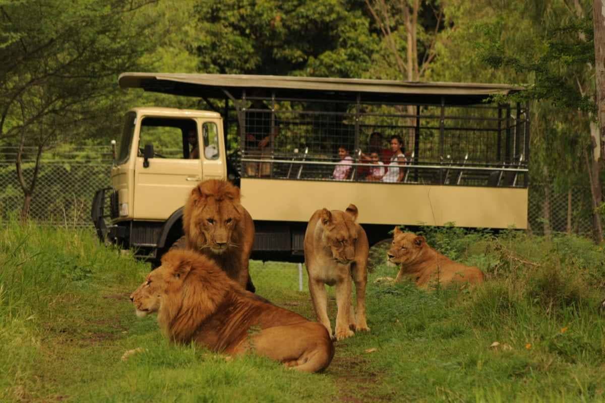 Casela Nature Parks