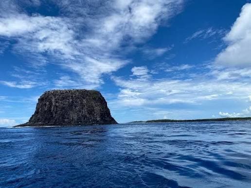 Pigeon rock