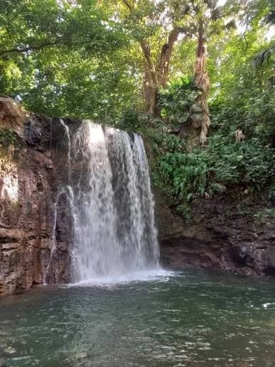 Cascade Mamzelle