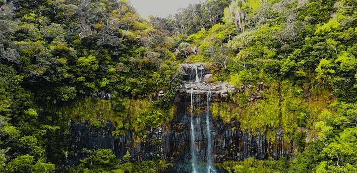 Alexandra Falls